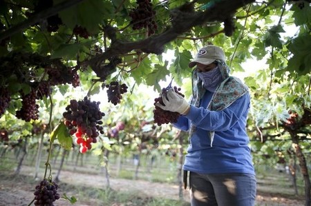 tagreuters.com2016binary_LYNXNPEC7S1CR-VIEWIMAGE