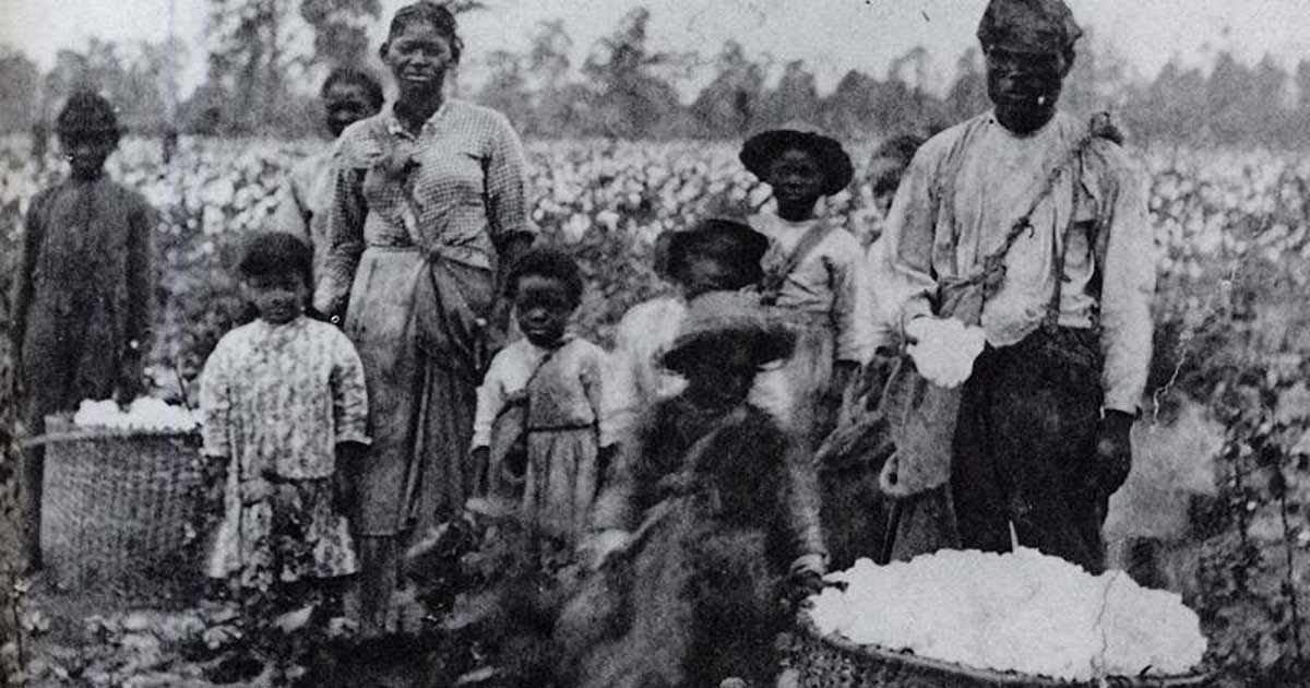 slavery myths